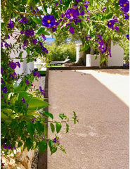 Luxury Villa Benidorm - Sea Views