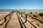 Infinity View Paradise