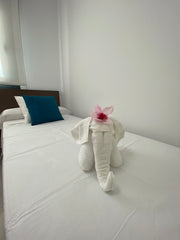 Ocean View 33