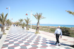 Ocean View 77