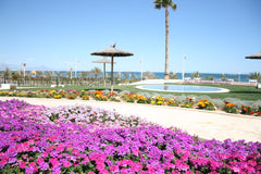 Ocean View 77
