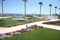 Ocean View 77