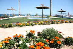 Ocean View 77